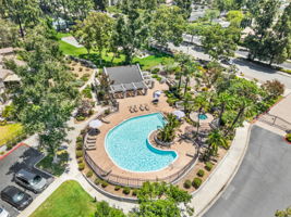 Main Pool Area