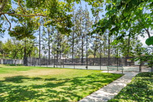 Park-like Grounds