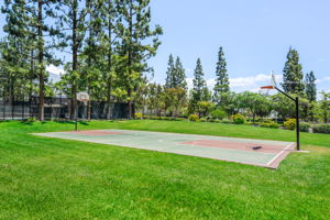 Basketball Court