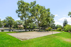 Volleyball Court
