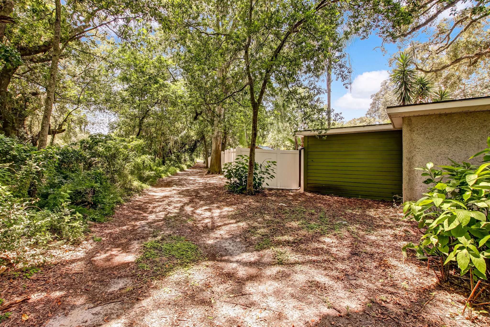 Back of Property Road