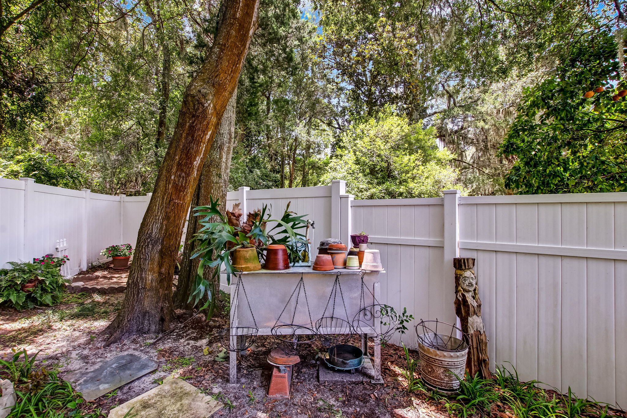 Backyard