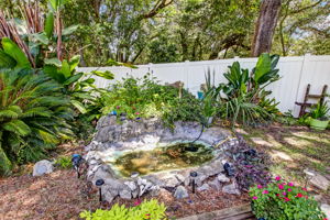 Water Feature