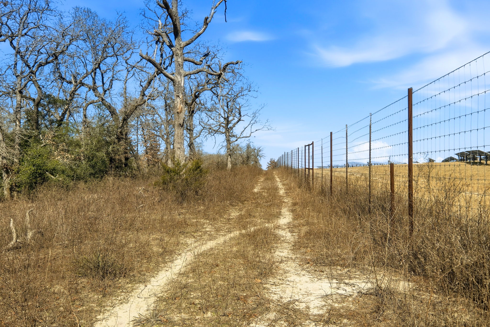Road at Perimeter/Fencing