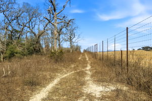 Road at Perimeter/Fencing