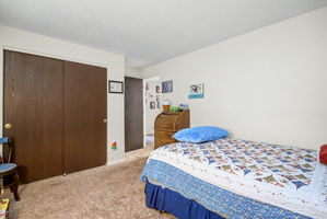  Photo 49