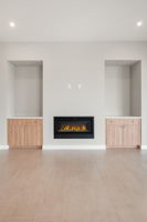 Fireplace (2)