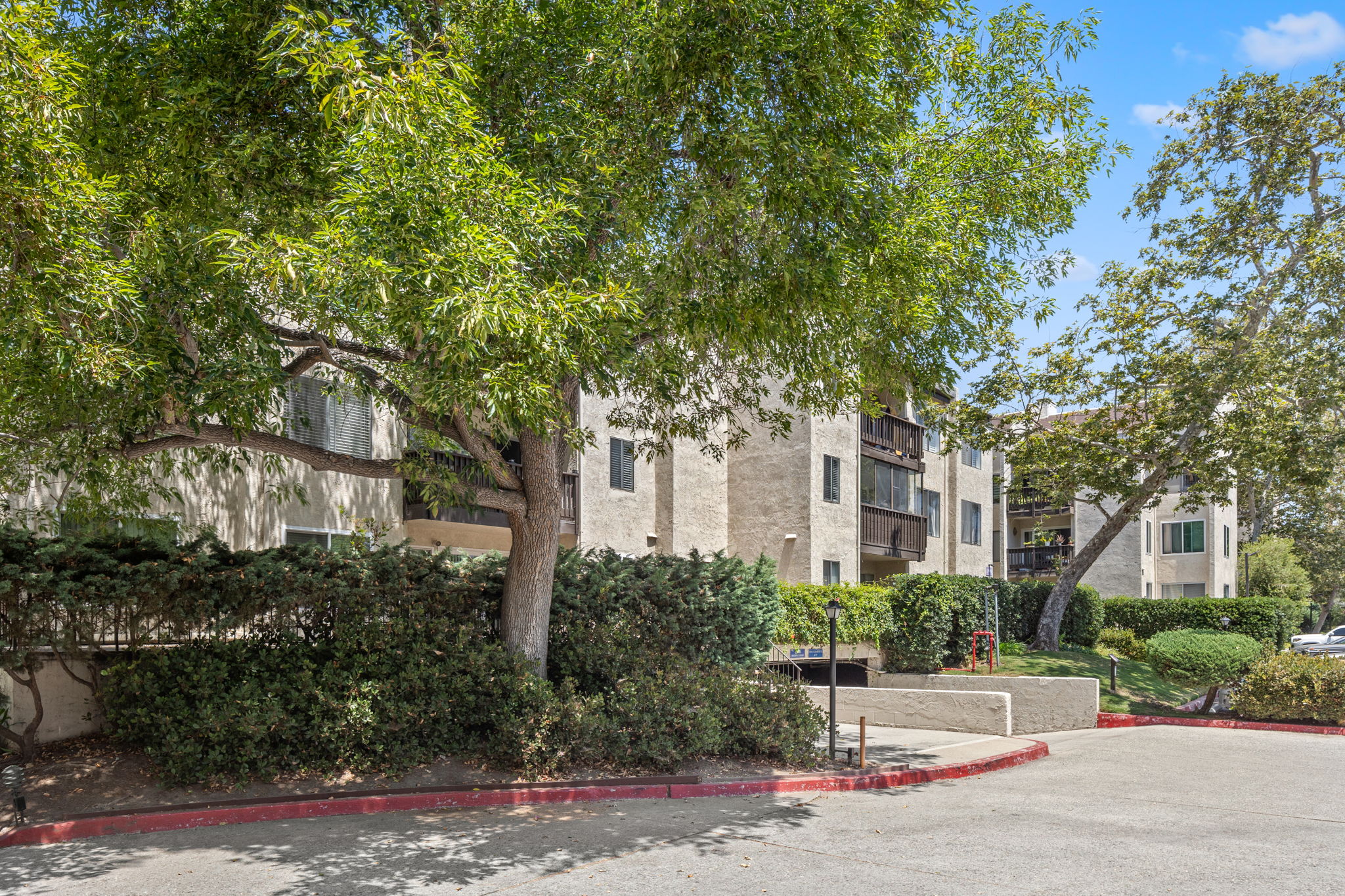 13102 Summertime Lane-4