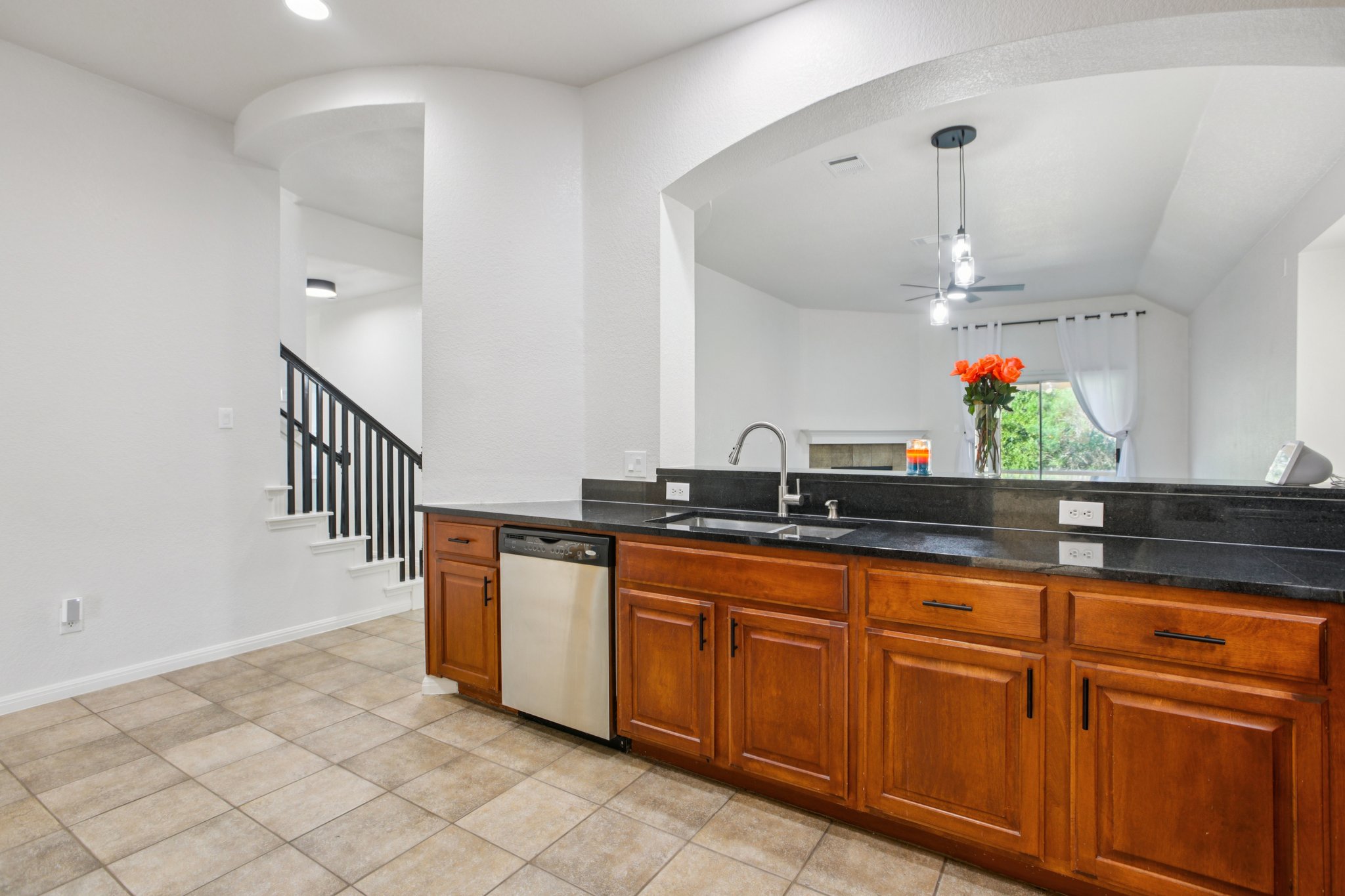 Appaloosa Chase Dr-L0310-017.jpg