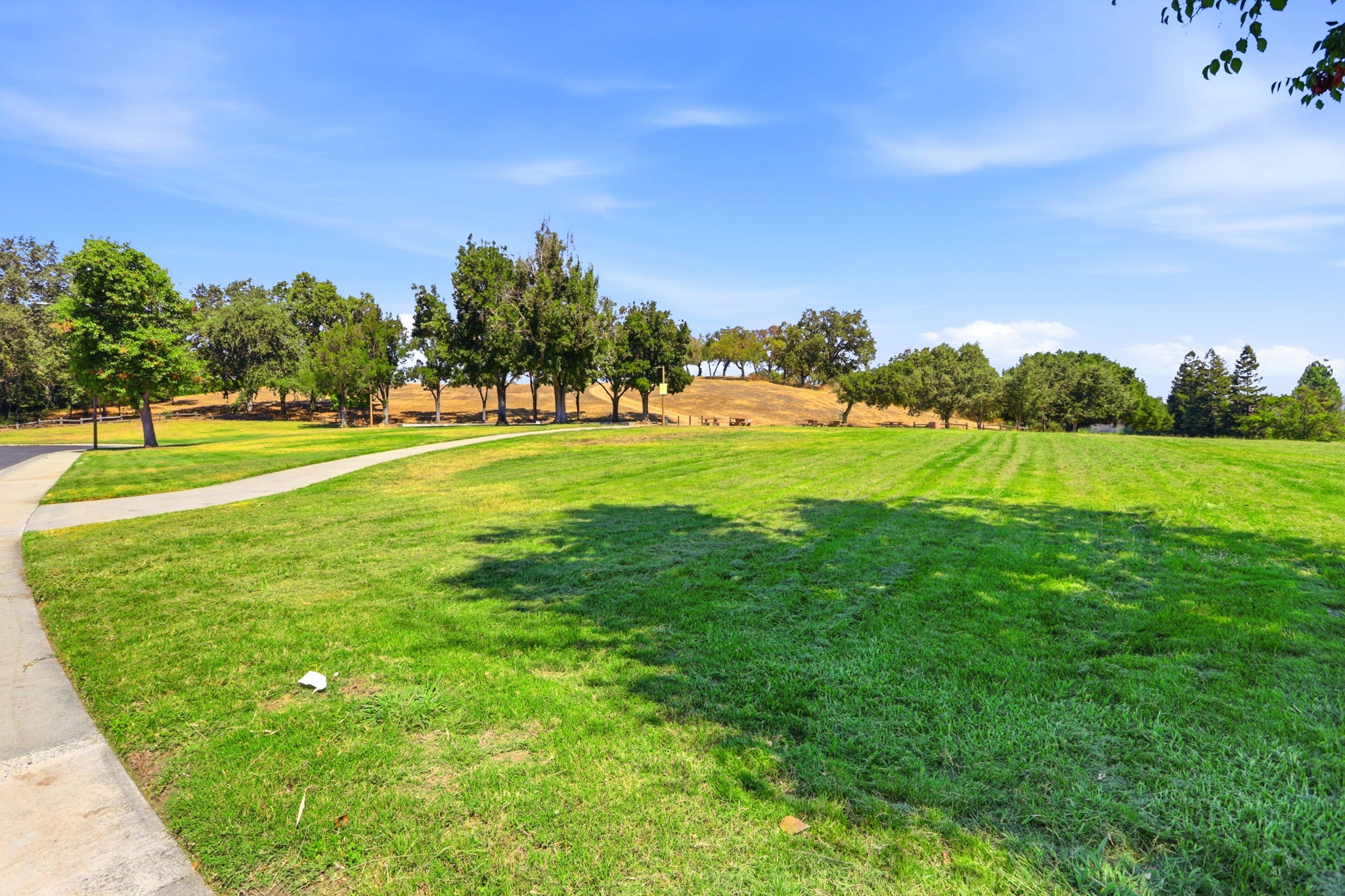 044_F8_1311 Cerro Verde