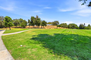 044_F8_1311 Cerro Verde