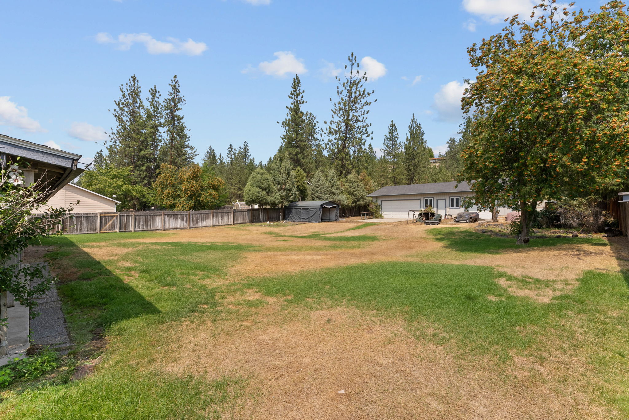 Backyard View