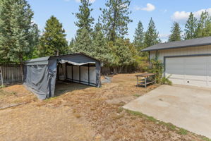 Backyard. Carport stays.