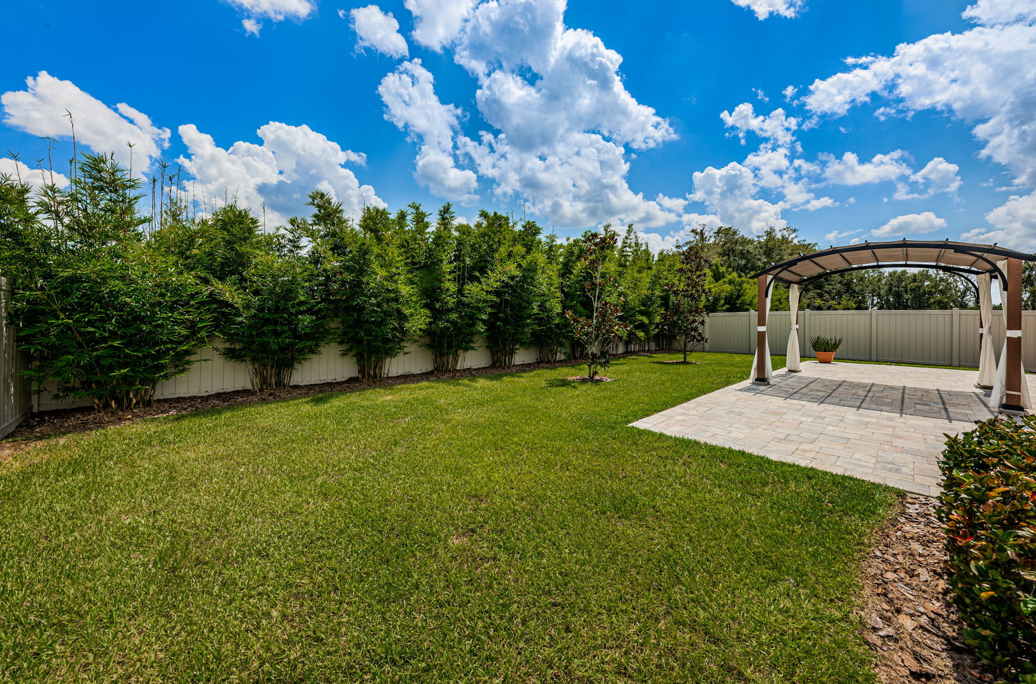 Backyard2-3