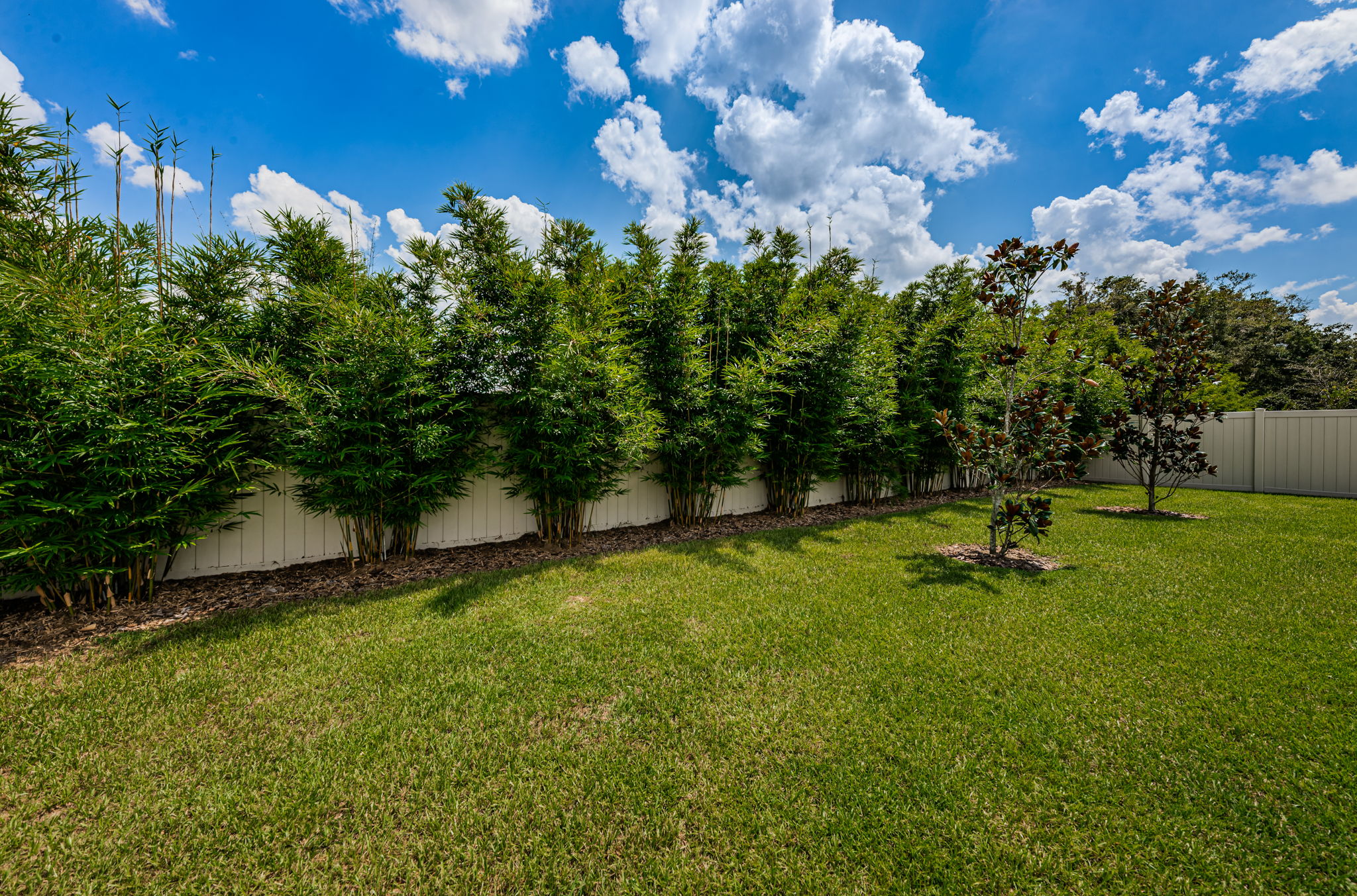Backyard3-3