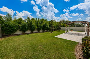 Backyard2-3