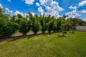 Backyard3-3