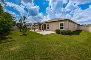 Backyard1-3