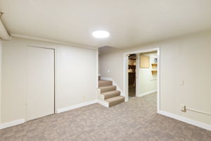 Basement