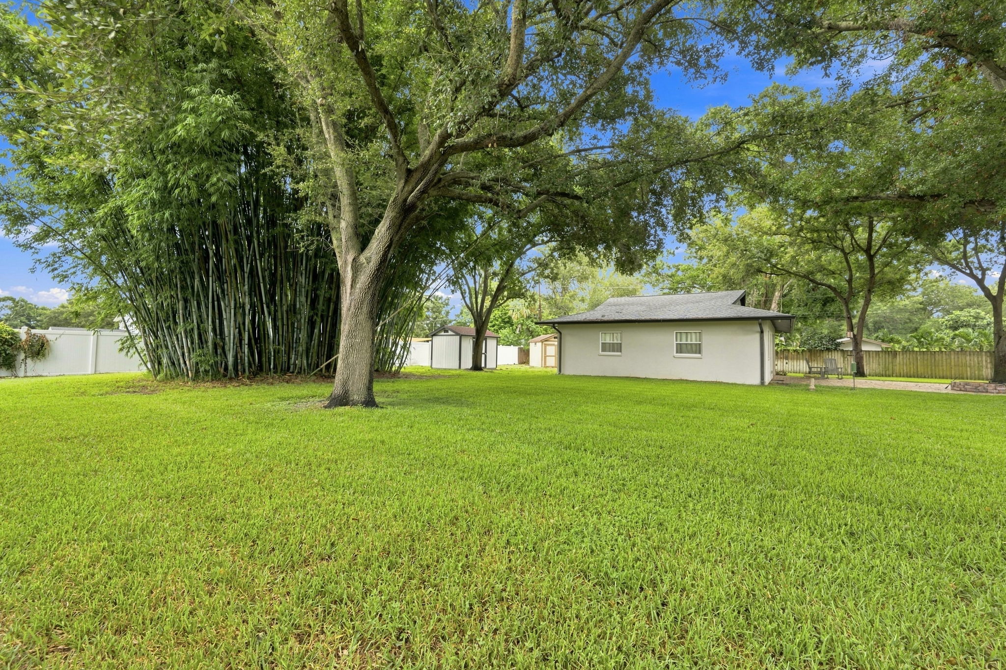 Backyard3