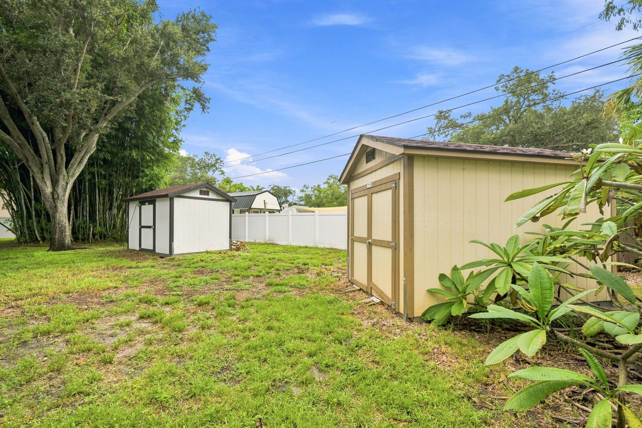 Backyard4