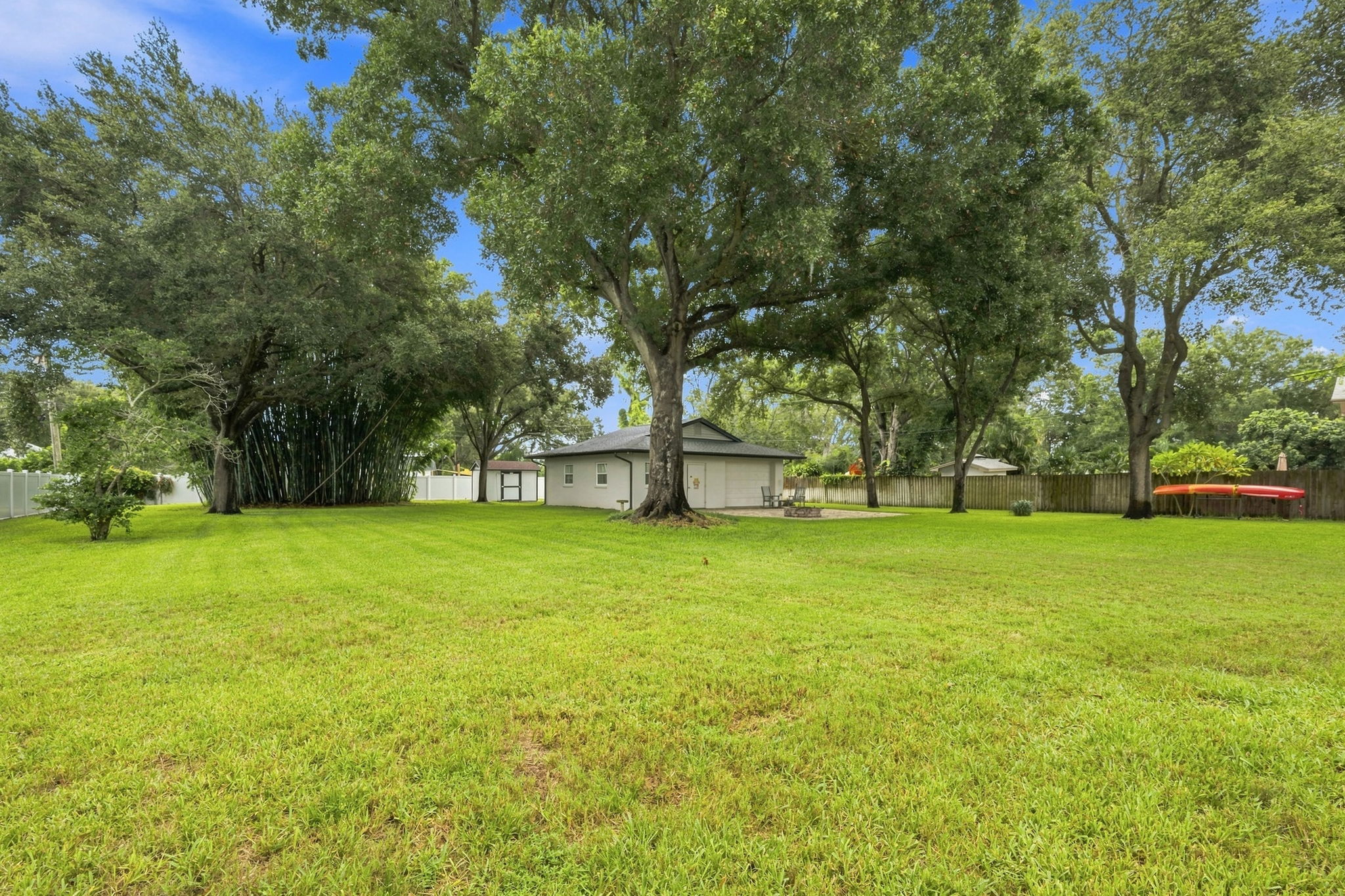 Backyard5