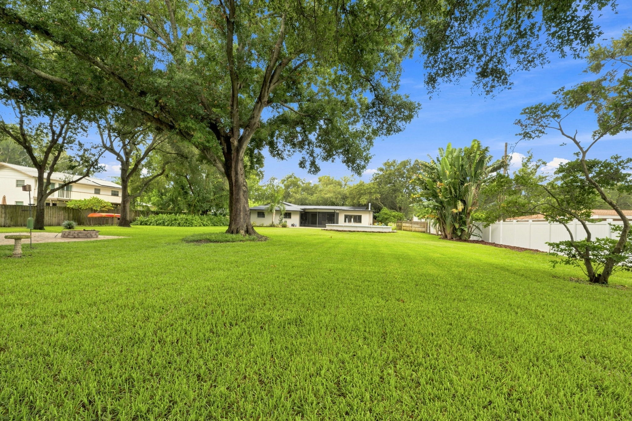 Backyard10