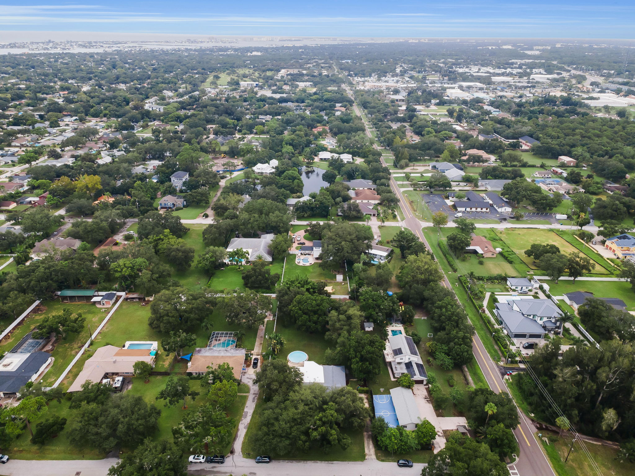 Aerial (14)