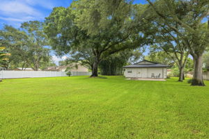 Backyard1