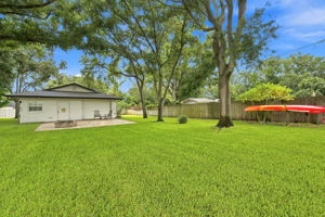 Backyard2