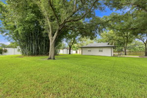 Backyard3