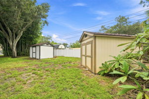 Backyard4