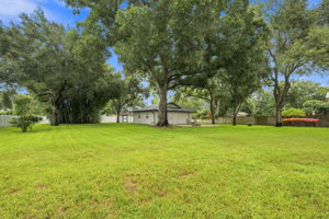 Backyard5