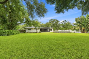 Backyard8