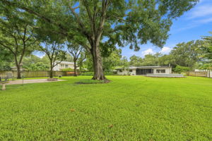 Backyard12