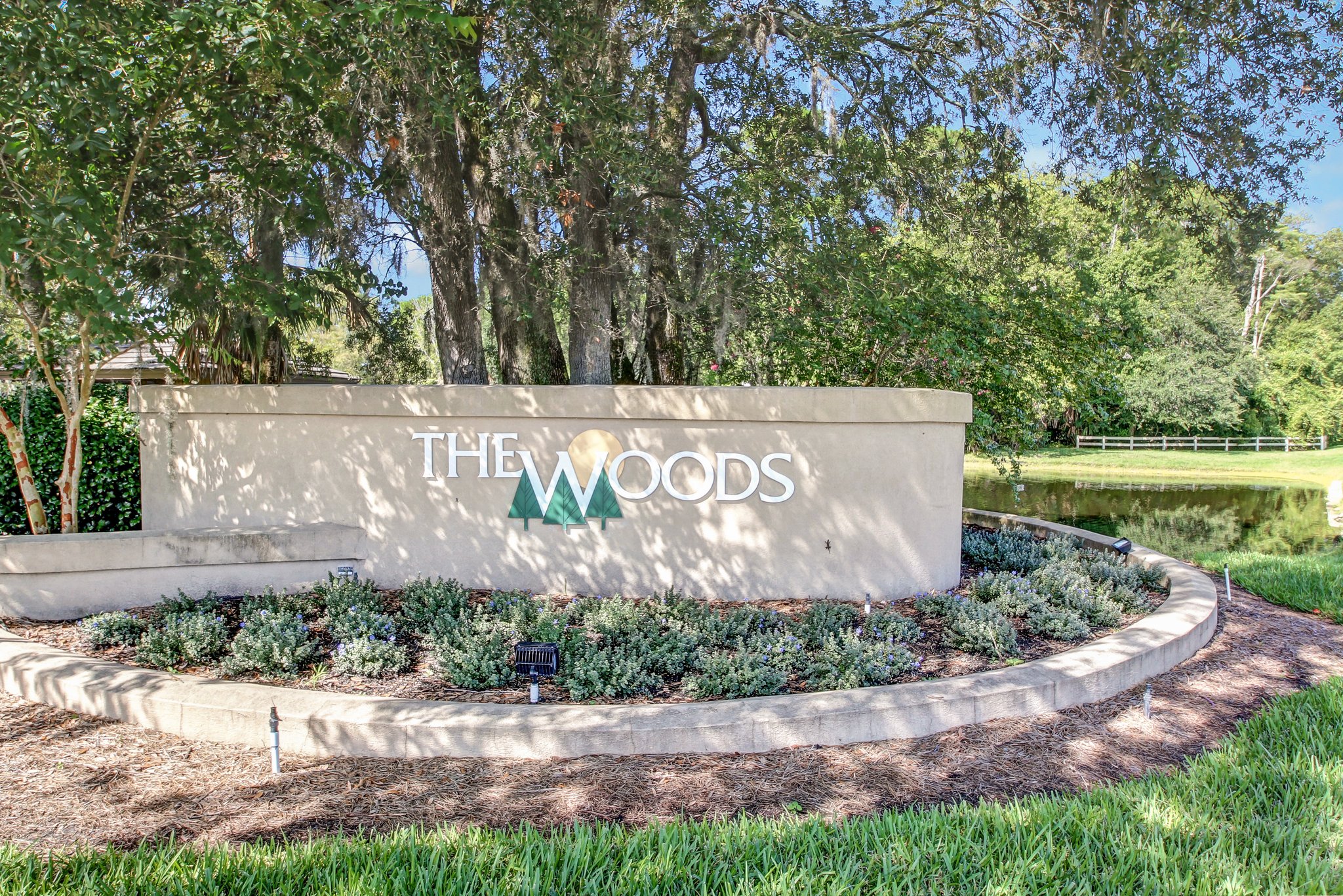 The Woods