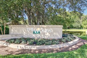 The Woods