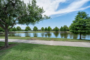 Frontyard2 View