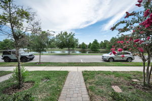 Frontyard1