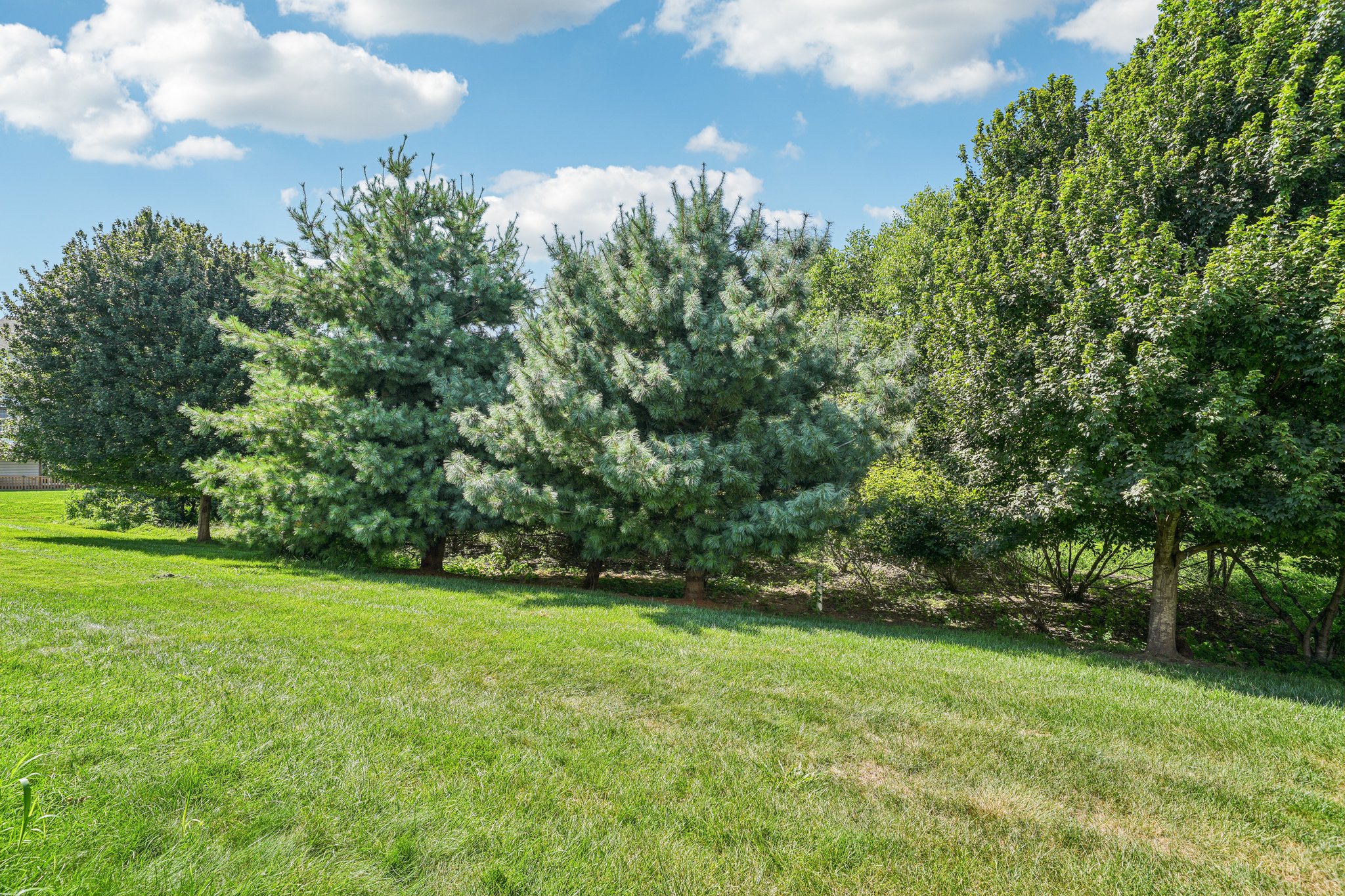 Madison Ln-S1208-047.jpg