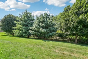 Madison Ln-S1208-047.jpg