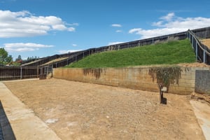 Pam Ln-L0507-042.jpg