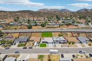 Pam Ln-L0507-053.jpg
