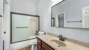 Lower Level - Bathroom