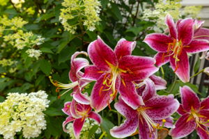  Photo 20