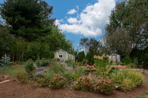  Photo 31