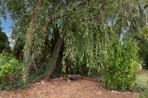  Photo 37