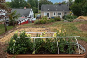  Photo 41