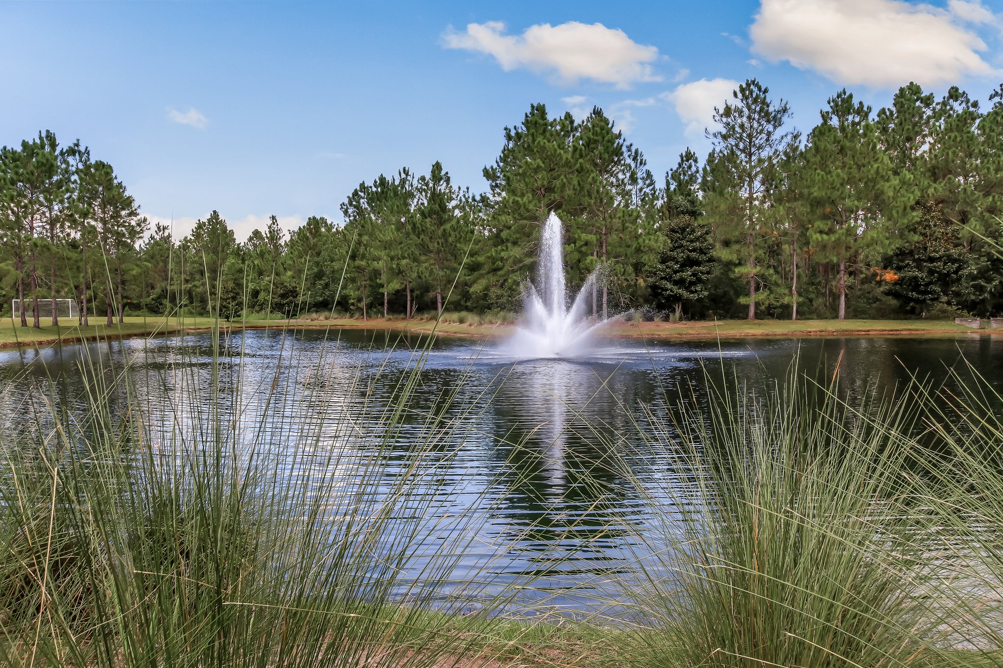 The Colony at Greenbriar