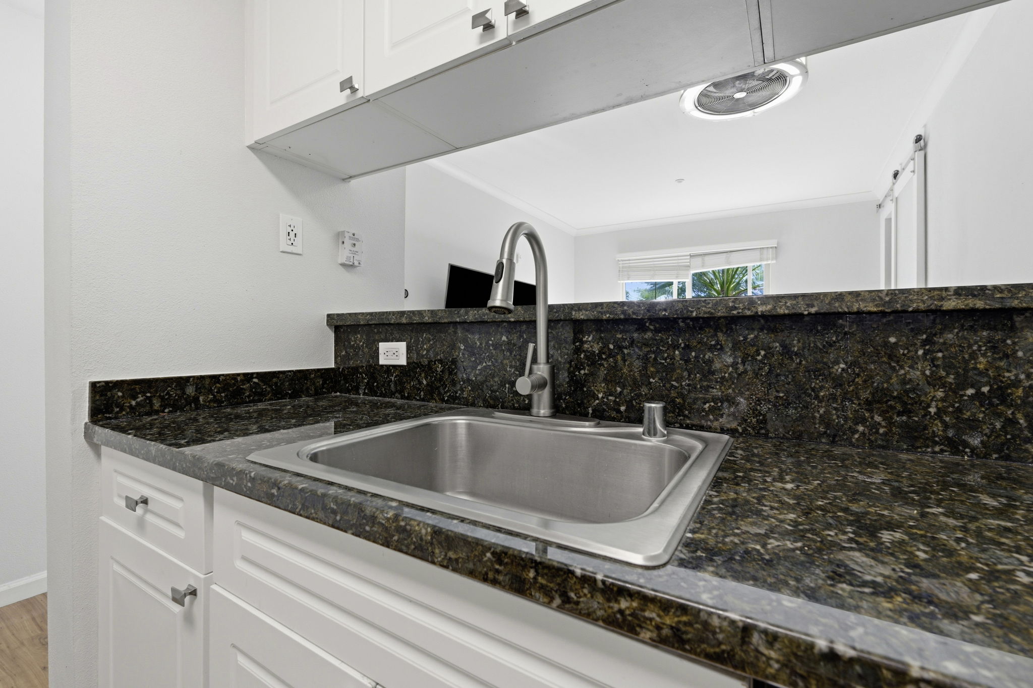 011_F8_1315 Alma Ave 223
